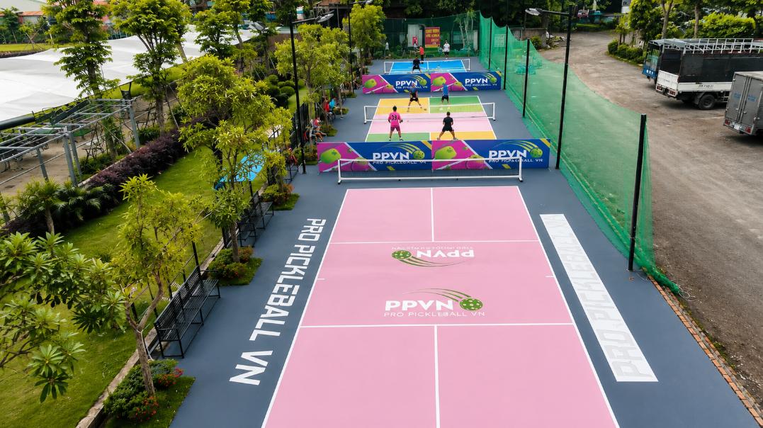 Sân pickleball Pro Pickleball Vn